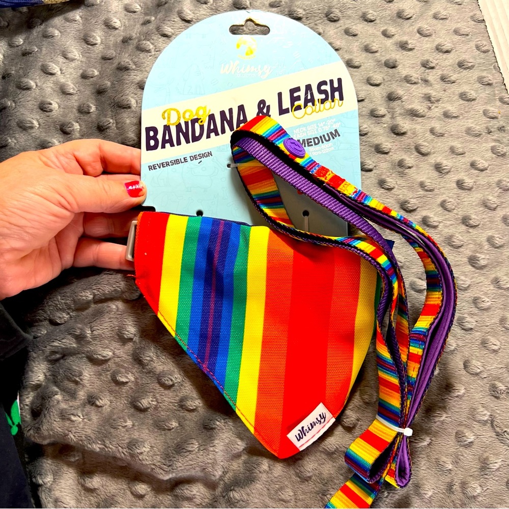 Whimsy Dog Collar Bandana and Leash NWOT Medium Size Rainbow Pattern